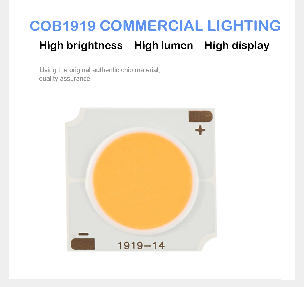 Czinelight Custom High Power Warm White 12W 20W 30W 50W 1919 COB LED Chip Diode